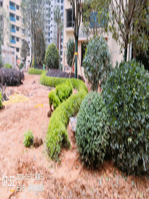 園林施工現(xiàn)場10